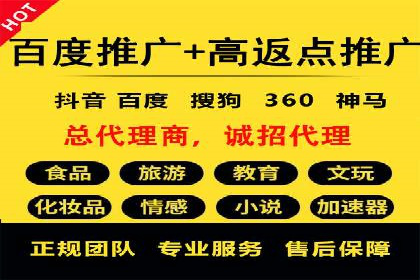 百度推广渠道拓展，成功案例分析